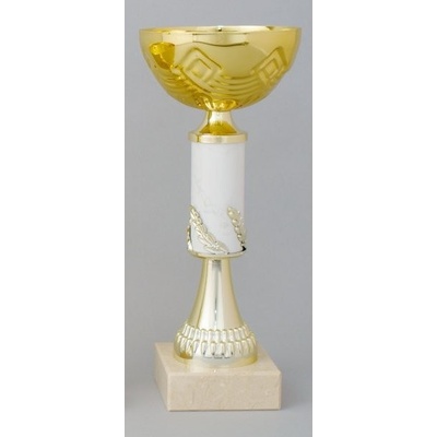 Zlatý sportovní pohár 19 28 cm 25 cm