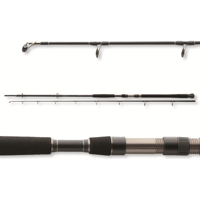 Daiwa Exceler Catfish 3 m 200-600 g 2 díly