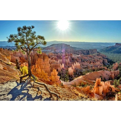 Dimex MS-5-3017 Vliesová fototapeta Národní park Bryce Canyon rozměry 375 x 250 cm