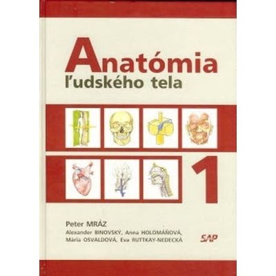 Anatómia ľudského tela 1