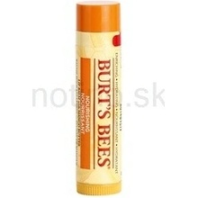 Burt´s Bees Lip Care vyživujúci balzam na pery with Mango Butter 4,25 g