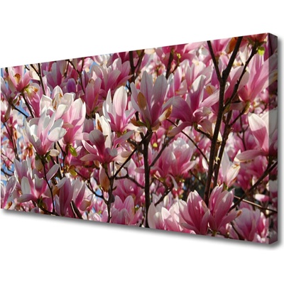 Obraz Canvas Vetvy kvety rastlina 100x50 cm