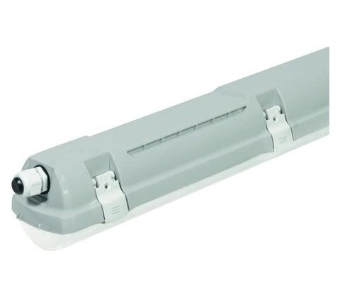 Trevos 100622