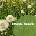 Smack Aleck - Unavoidable CD