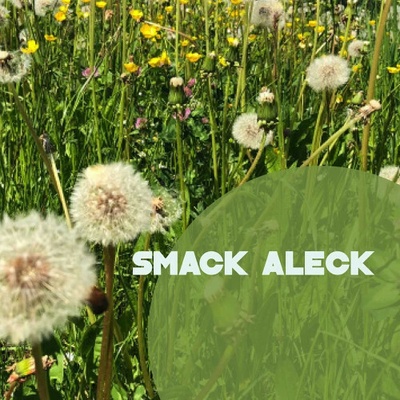 Smack Aleck - Unavoidable CD
