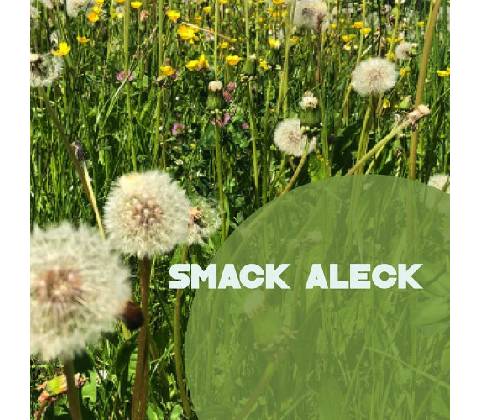 Smack Aleck - Unavoidable CD