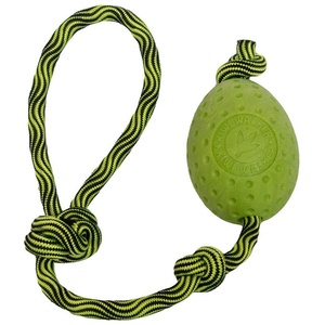 KIWI WALKER Играчка за кучета Kiwi Walker EGG MAXI зелена