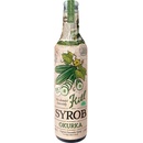 Kitl Bio Kitl Syrob Okurka 0,5 l