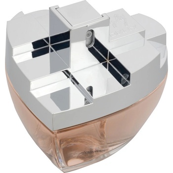 DKNY My NY parfémovaná voda dámská 100 ml tester