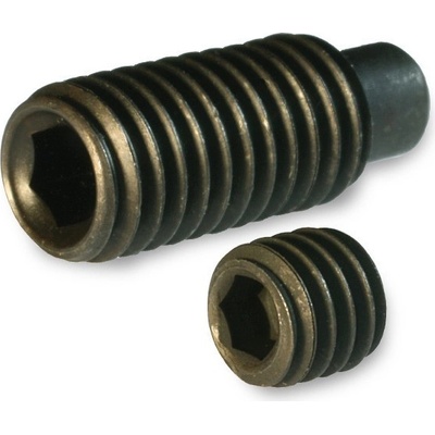 Igm Závitový čep - D6xM5 pro F20-22 FS200161