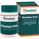 Himalaya Rumalaya Forte 60 tabliet