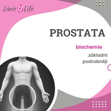 For Long Life Prostata - podrobnejšie