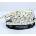 SOH LED500