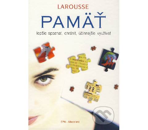 Pamäť