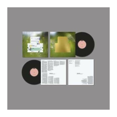 SPIRITUALIZED - EVERYTHING WAS BEAUTIFUL LP