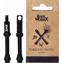 BikeWorkX Tubelless Valves