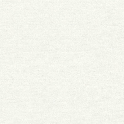 A.S. Création 336381 Vliesová tapeta na zeď Shades of White rozměry 0,53 x 10,05 m