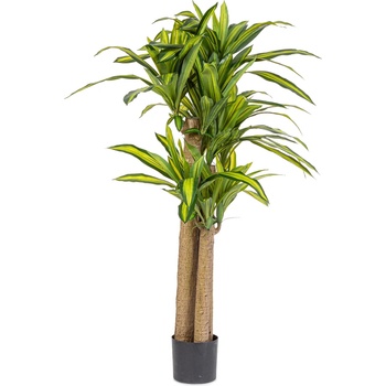 Bizzotto ИЗКУСТВЕНО РАСТЕНИЕ draceana 150cm ЗЕЛЕНО (0172965)