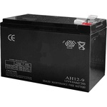 AEC Акумулаторна батерия AEC C20 9-12, 12V, 9Ah, VRLA, T1 конектори (9-12)