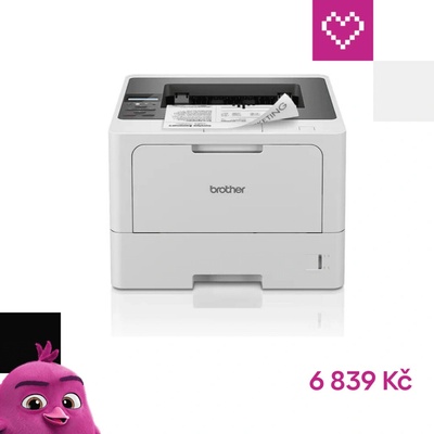 Brother HL-L5210DN