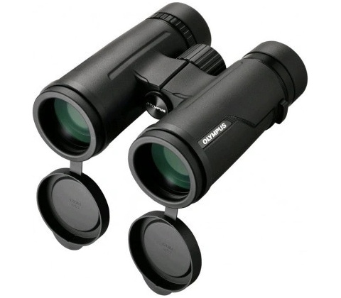 Olympus 10x42 PRO