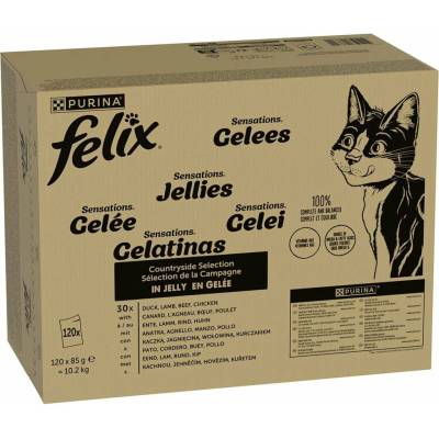FELIX Sensations rozmanitost chutí z venkova 120x85 g