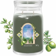 Yankee Candle Signature Olive Cypress 567g