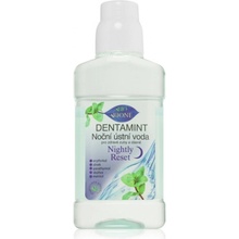 Bione Cosmetics Dentamint nočná ústna voda 265 ml