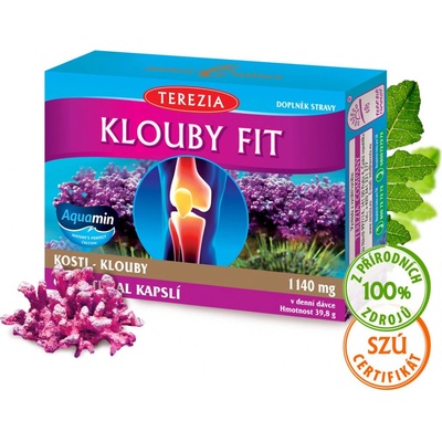 Terezia Company Klouby fit 60 kapsúl