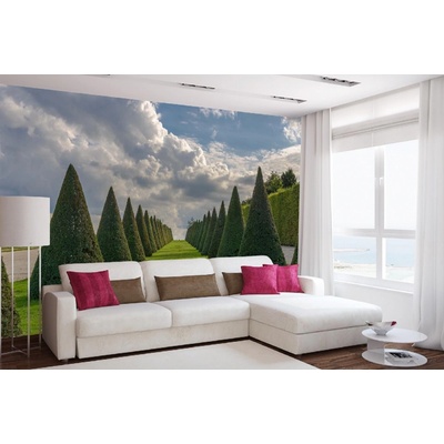 Dimex MA-5-1173 Samolepicí vliesová fototapeta na zeď Zámek Versailles III. rozměry 375 x 250 cm