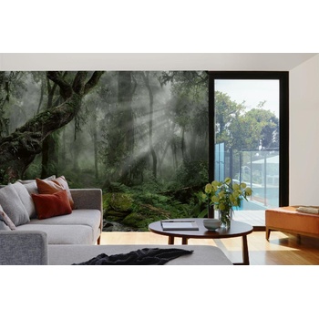 DIMEX ART s. r. o Самозалепваща се флизелинова фототапета гора в тъмното 375 x 250 см