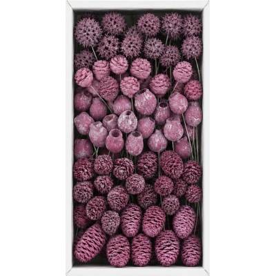 SORTIMENT LEUCADENDRON ON 10 CM WIRE FROSTED RED TRAY ( 100 PC )