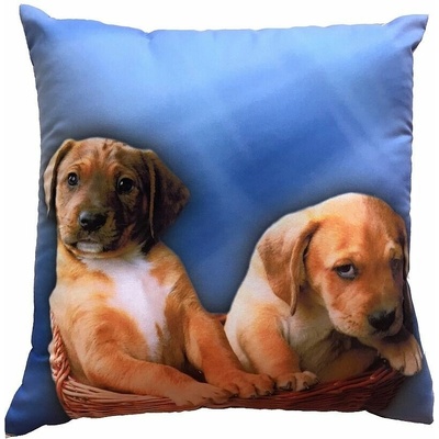 Dadka FotoVankúš Dve šteňatá na modrom 40x40