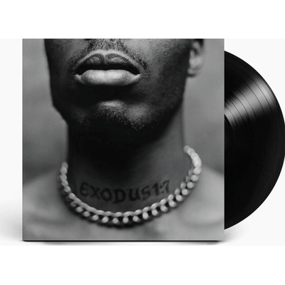 DMX - Exodus Vinyl LP