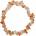 Nefertitis NF2424