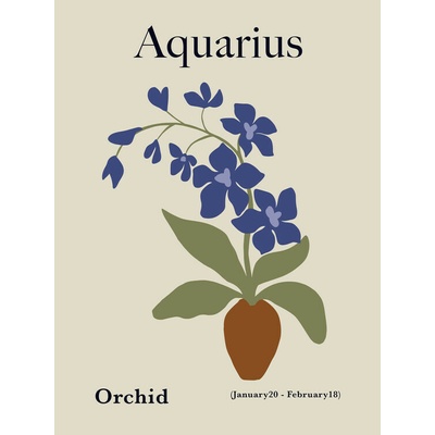 Plagát, Obraz - Aquarius Orchid Bloom, Miho Art Studio, 30 × 40 cm