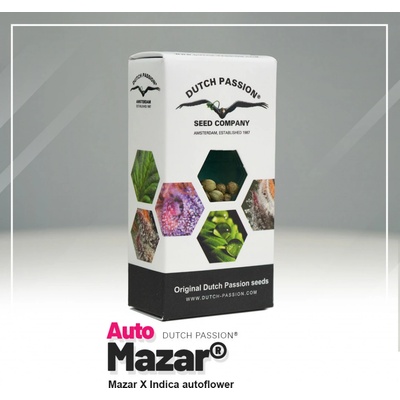 Dutch Passion AUTO Mazar semena neobsahují THC 7 ks