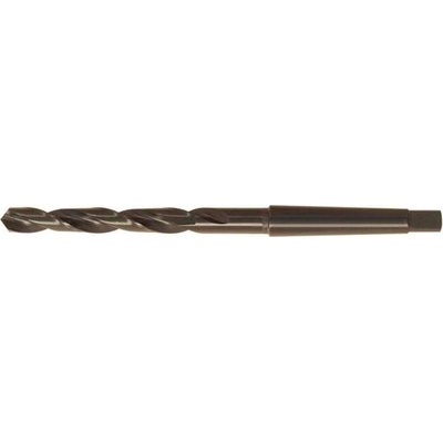 Fortis EDE10243100