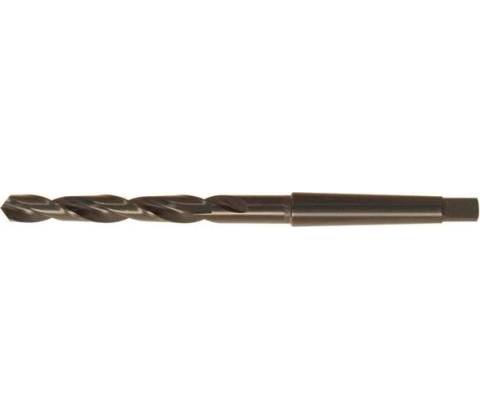 Fortis EDE10241800