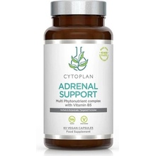 Cytoplan Adrenal support komplex pro nadledviny 60 vegan kapslí