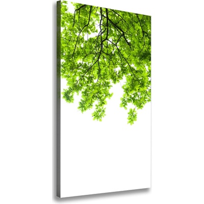 Vertikálny foto obraz canvas Koruna stromov 50x100 cm