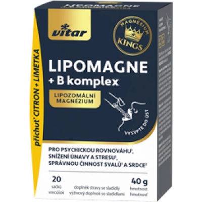 Vitar LIPOMAGNE+B komplex 20 x 2 g