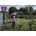 No Dig Garden Charles Dowding's Calendar of Vegetable Sowing Dates 2026 | Charles Dowding