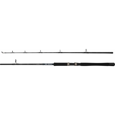 DAM Iconic2 SW Boat 1,8 m 100-250 g 2 diely