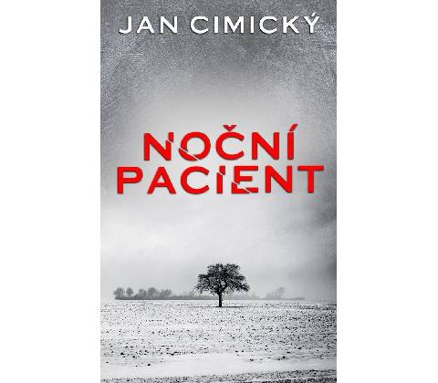 Noční pacient