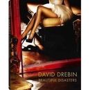 Beautiful Disasters - David Drebin