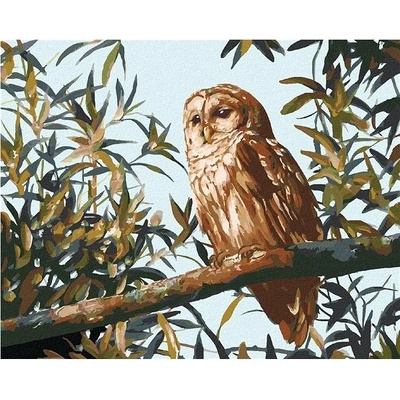 zuty Malování Podle Čísel Sova Na Větvi A Listy D. Rusty Rust 80 x 100 Cm Plátno