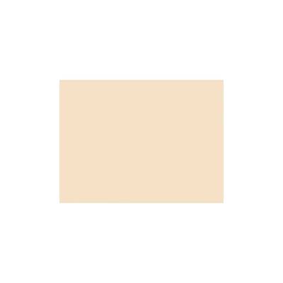 Rosco 206 Quarter CT orange