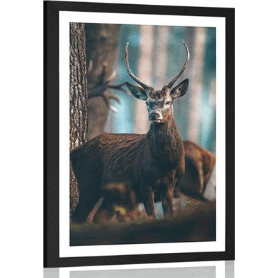 Plakát s paspartou jelen v lese - 20x30 black