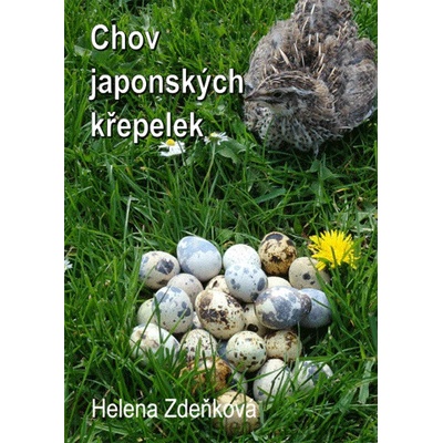Chov japonských křepelek